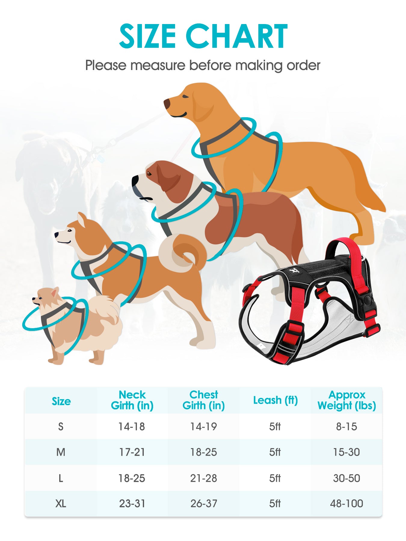 No pull dog outlet harness with handle