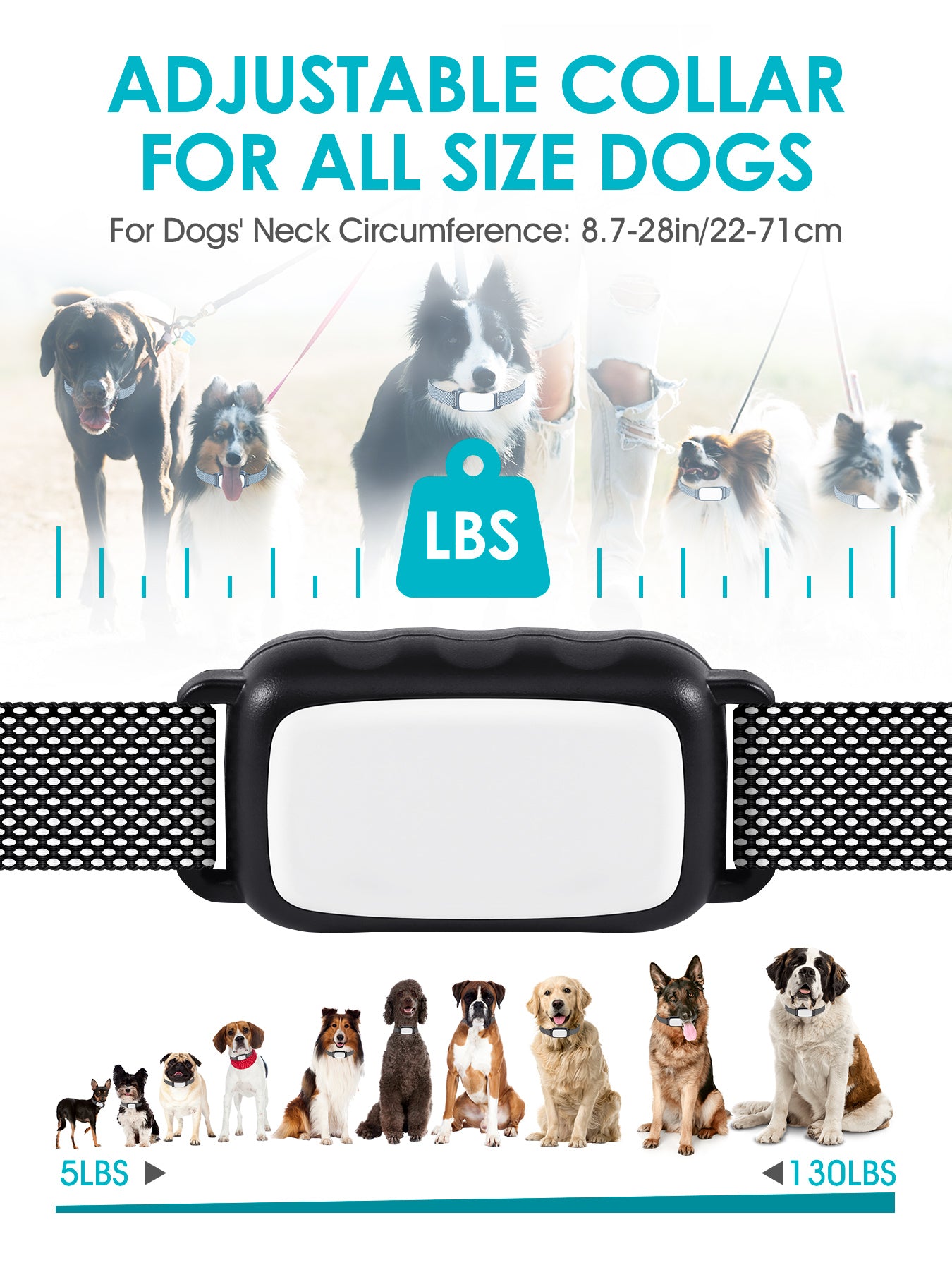 Bark collars for sales 5 lb dogs