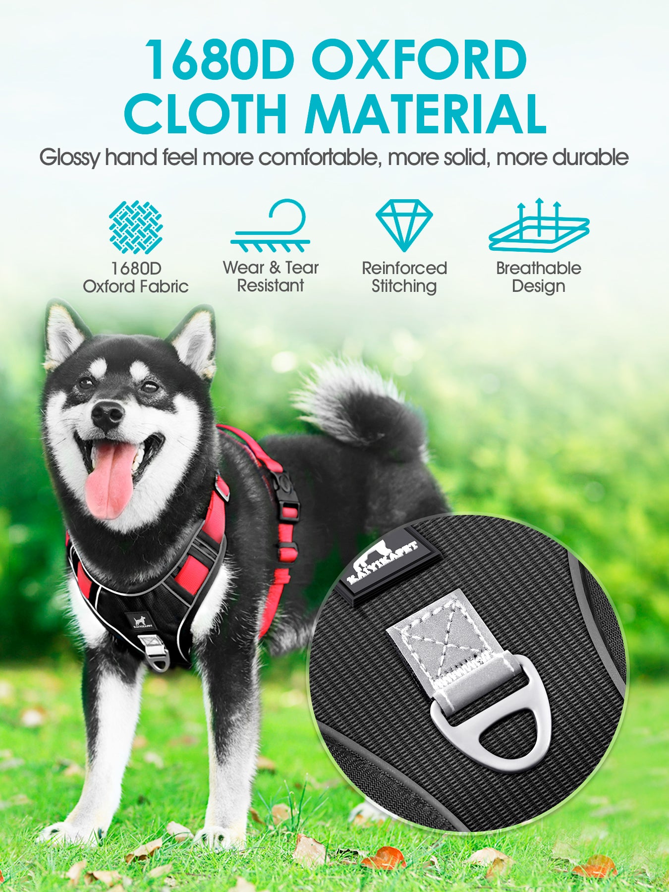 Heavy duty dog outlet harness and leash