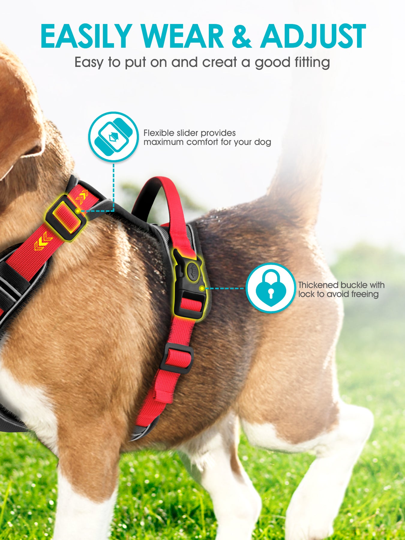 Dog harness easy to put cheap on