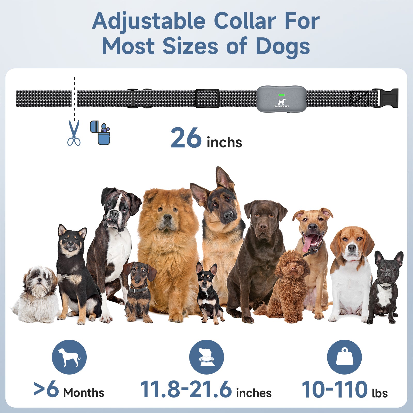 Akkee dog 2025 training collar